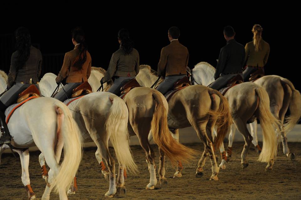 The Equestrian Academy in Al Aïn