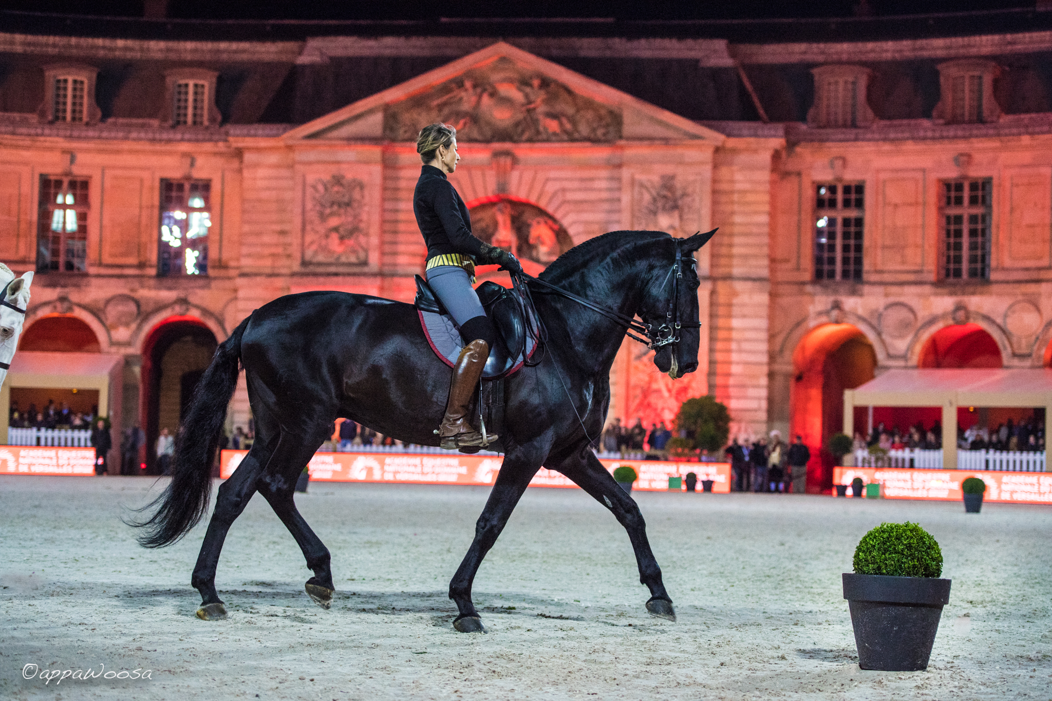 Retour en images sur le Jumping de Château du Versailles