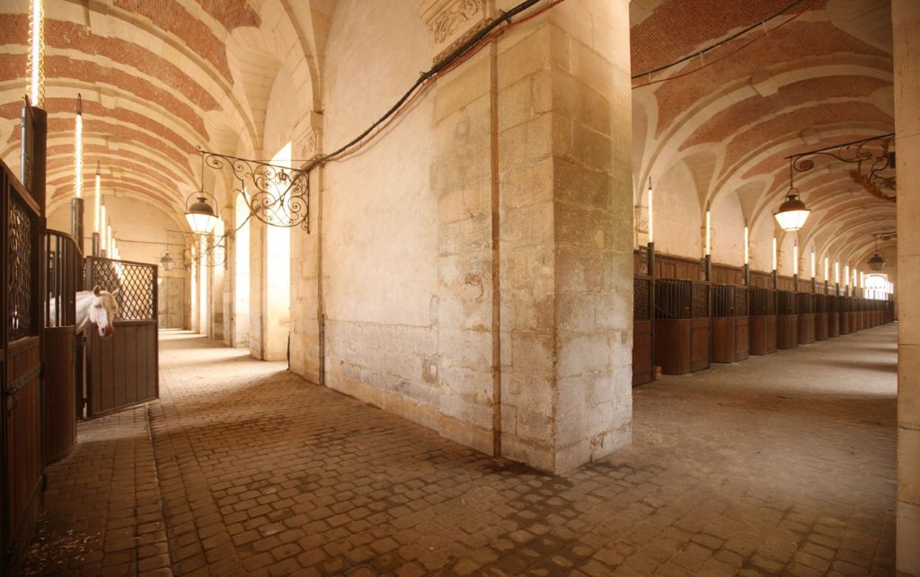 VISITE DES COULISSES DE L'ACADÉMIE ÉQUESTRE DE VERSAILLES