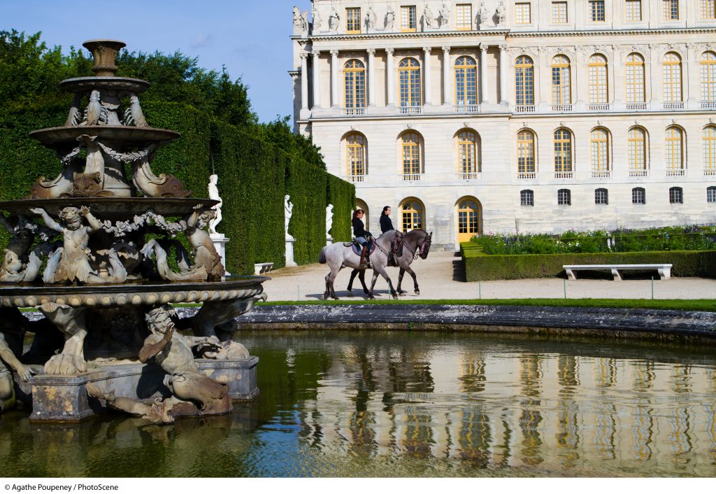 PALACE TICKET + TOUR OF THE EQUESTRIAN ACADEMY OF VERSAILLES