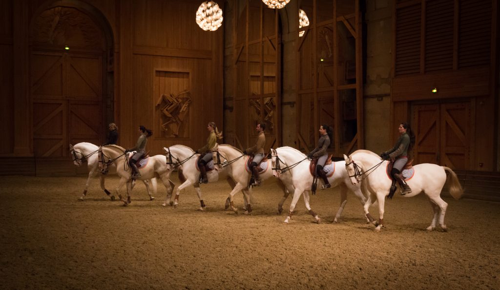 Spectacle de répertoire La Voie de l’écuyère