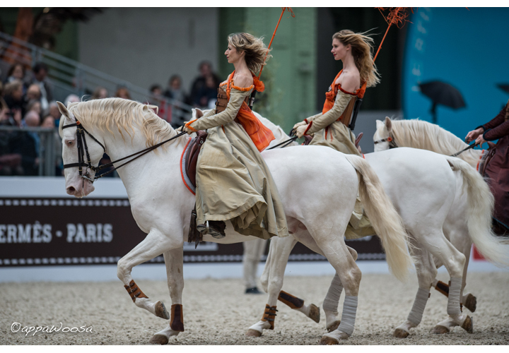 La nature au galop