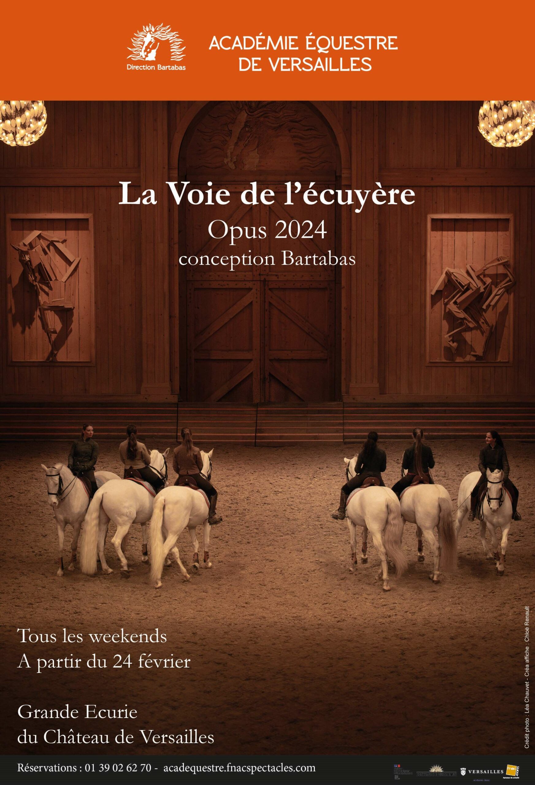 affiche de spectacle, 6 chevaux blancs dans la salle de spectacle de l'Académie Equestre